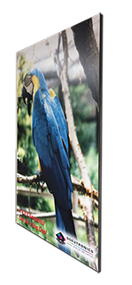 Photo of Full Color Poster Mounted on Black Gatorboard
